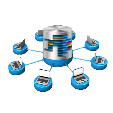 Database Management Software in Delhi