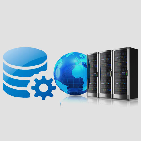 Relational Database Management Software in Delhi